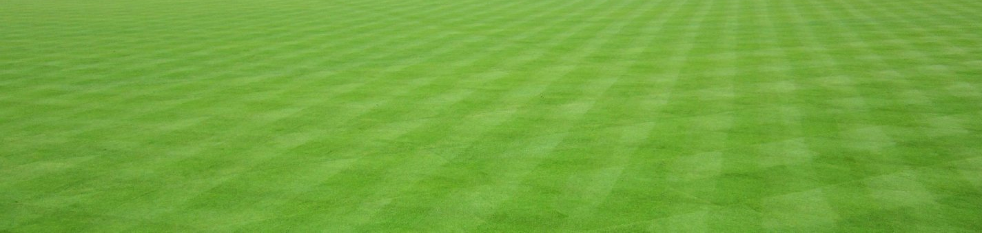 wide-grass
